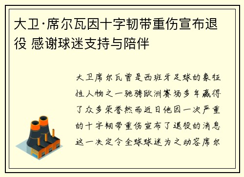 大卫·席尔瓦因十字韧带重伤宣布退役 感谢球迷支持与陪伴 大卫·席尔瓦因十字韧带重伤宣布退役 感谢球迷支持与陪伴